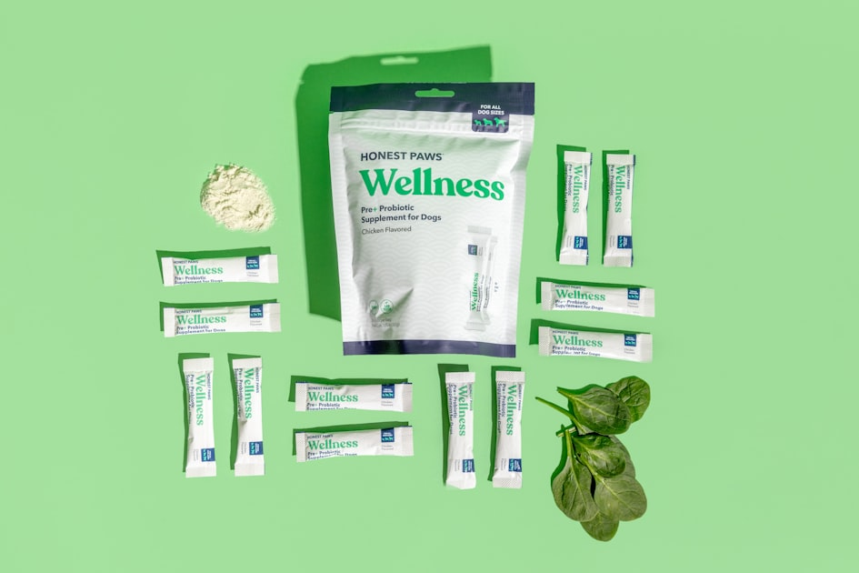 The Science Behind Probiotic Survival